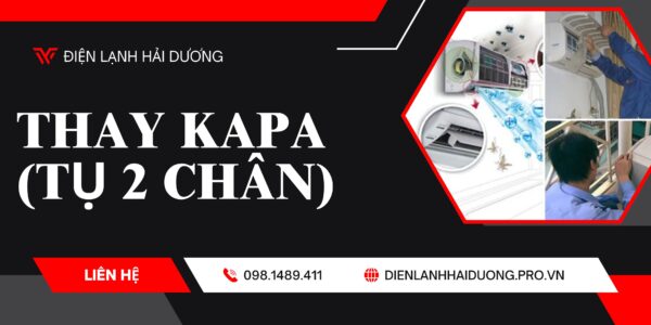 Thay kapa (Tụ 2 chân)