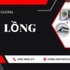 Thay lồng sóc