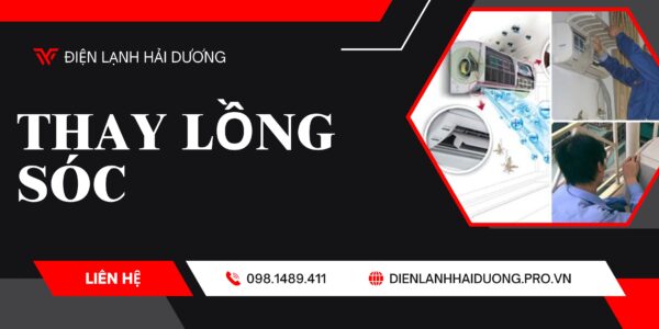 Thay lồng sóc